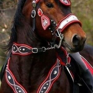 Bridles